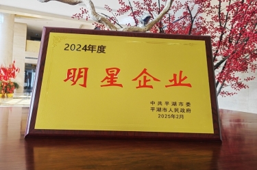 新春新景新气象 | 银河集团(galaxy)在平湖三干大会上喜摘荣誉！